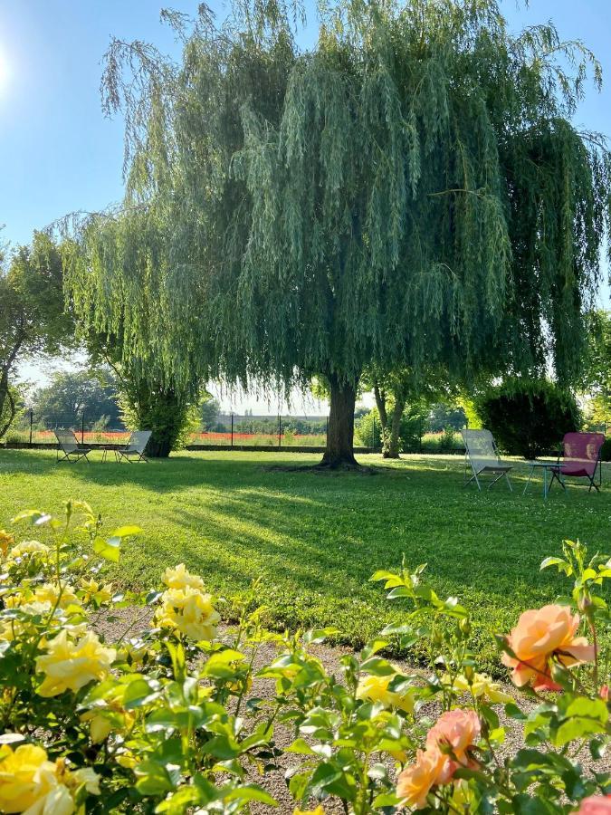 Hotel L'Oree Des Vignes Gilly-les-Citeaux Luaran gambar