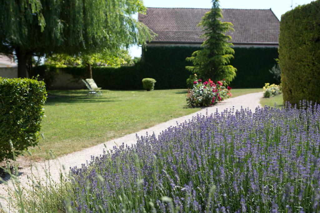 Hotel L'Oree Des Vignes Gilly-les-Citeaux Luaran gambar