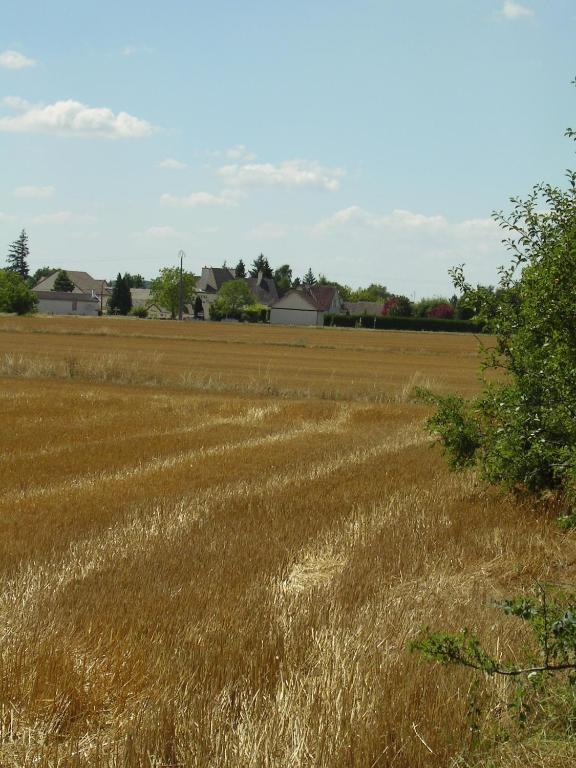 Hotel L'Oree Des Vignes Gilly-les-Citeaux Luaran gambar